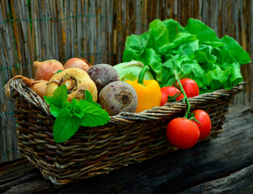 Asesoría alimentaria